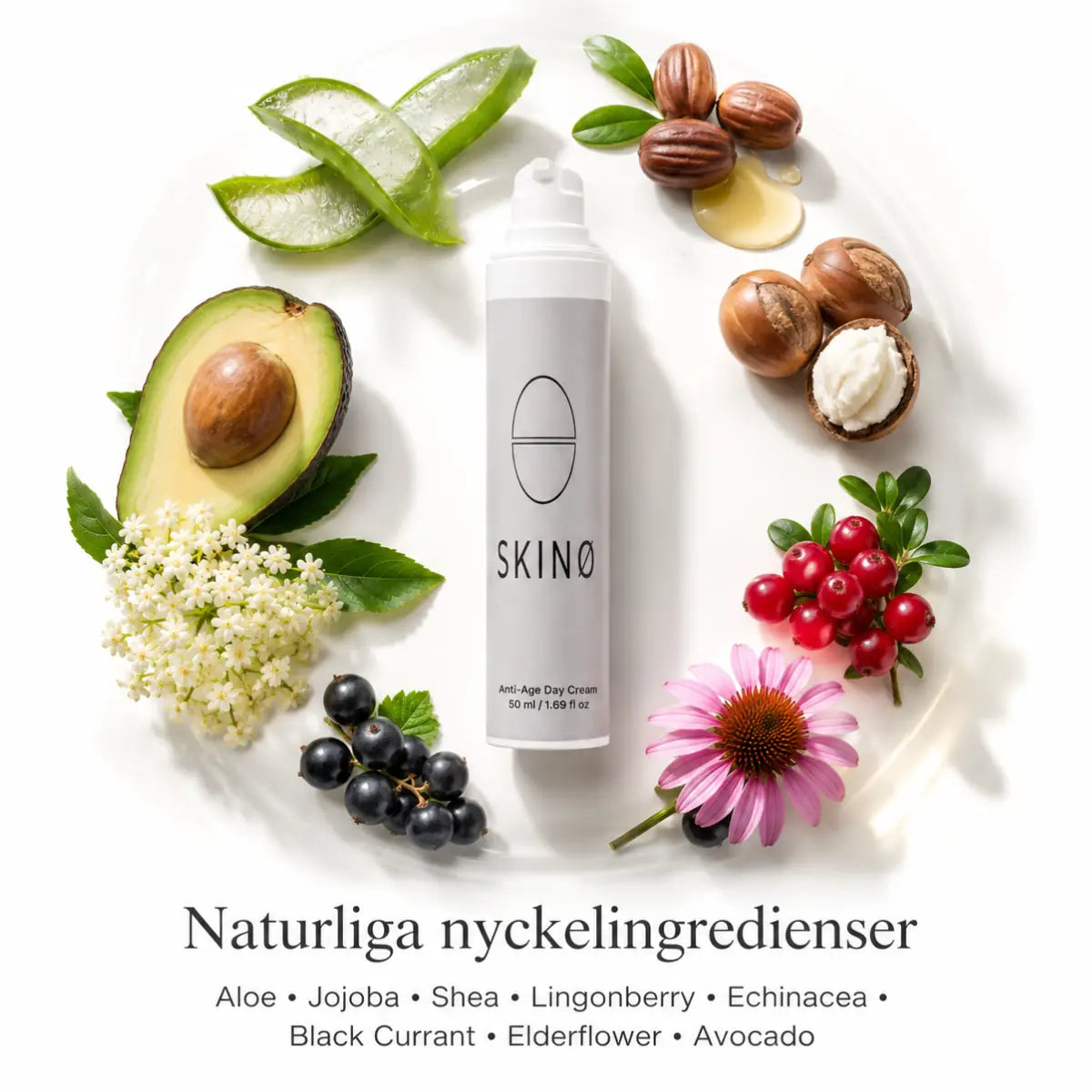 SKINØ Anti-Age Day Cream 50 ml omgiven av aloe, jojoba, shea, lingon, echinacea, svarta vinbär, fläder och avokado.